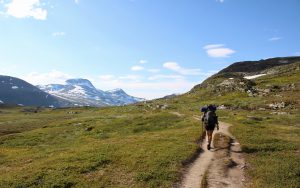 REI Backpacks Featured Image