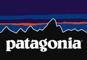 Backpack Reviews - Patagonia Logo