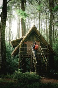 5 Essential Outdoor Survival Tips Shelter Pic