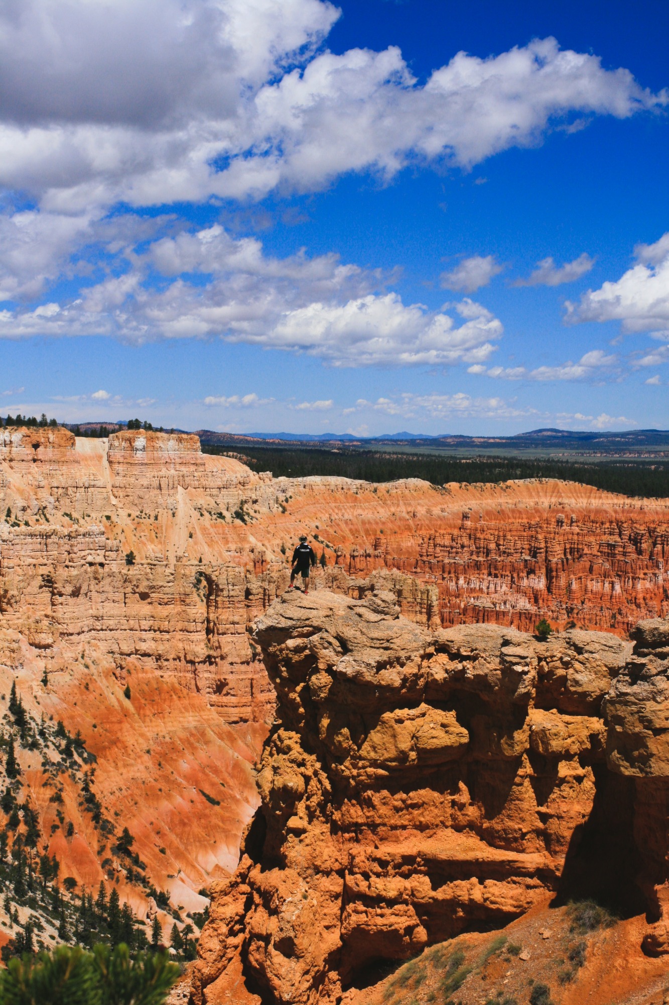 hiking trails in the grand canyon - pic 2