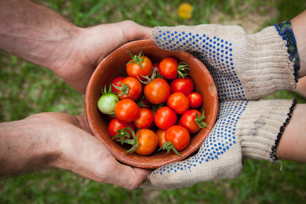 how to connect with nature - garden