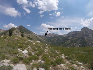 hiking the ruby mountains - view from pass up Kleckner Canyon