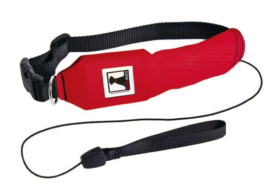 Dog collar store with retractable leash