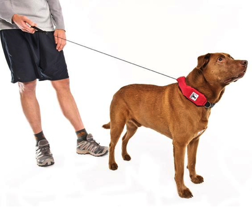 Strong retractable clearance leash