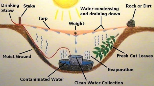 how to get clean water in the wild - still