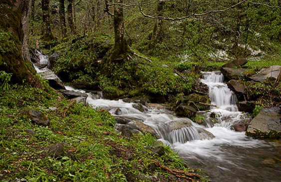 how to get clean water in the wild - streams