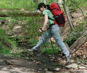 hiking pole tips - double planting