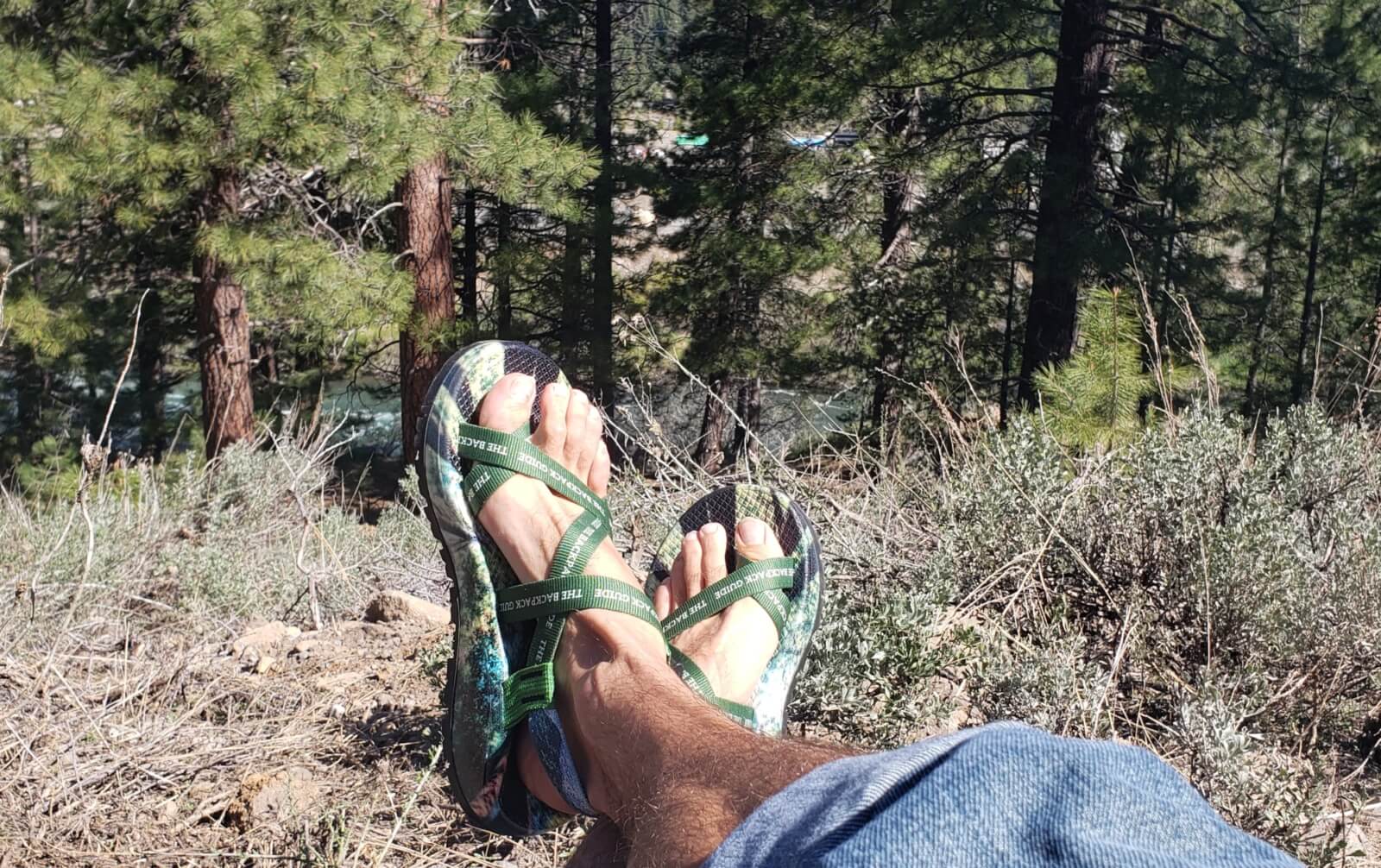 angular teal chacos