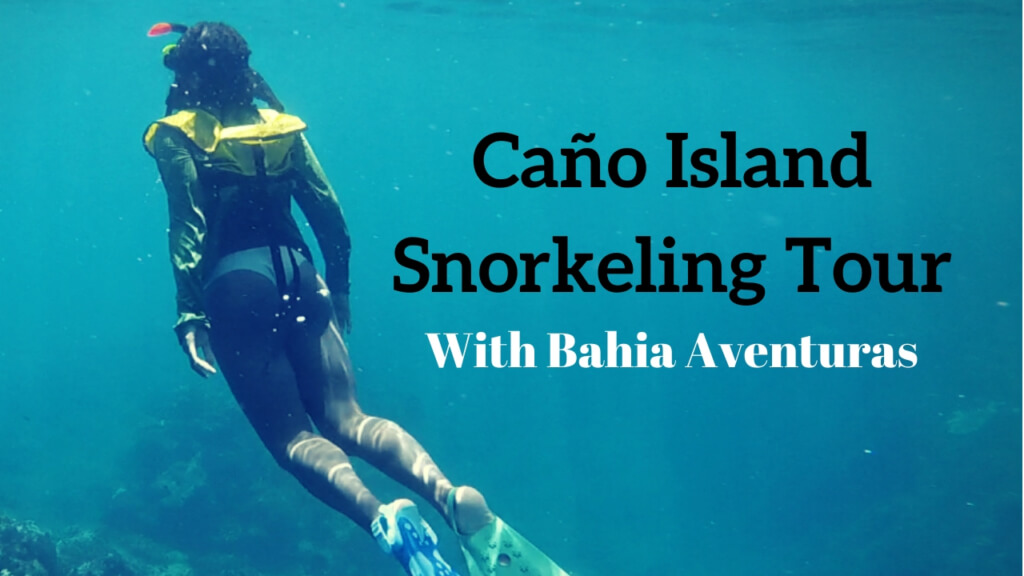 Why You Should Hire a Guide for Your Next Adventure - Cano Island Snorkeling Tour