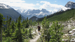 REI Outdoor Adventures 2020 - Canadian Rockies Hiking PC REI