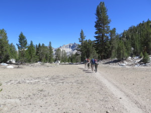 A Day on a JMT Thru Hike - into the afternoon sun PC Tucker Ballister
