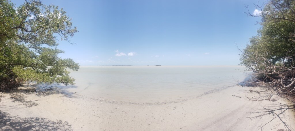 Beach On The Coastal Prairie Trail