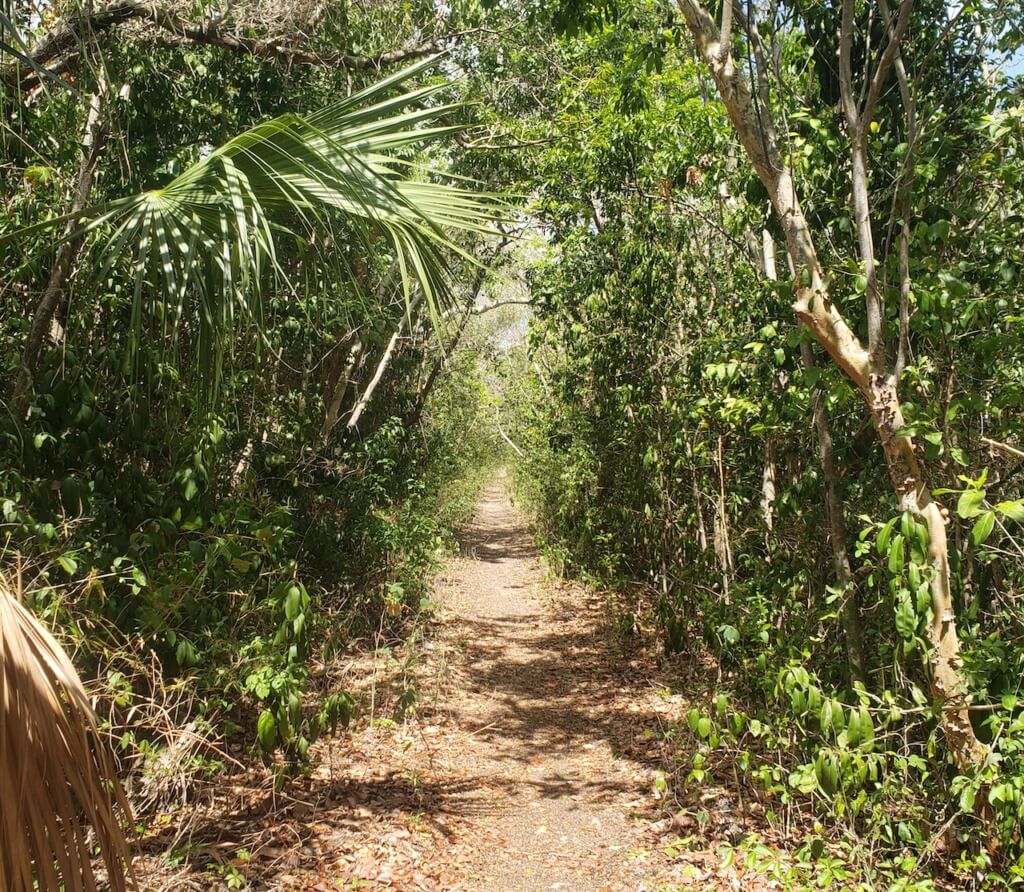 Bear Lake Trail Crocodiles in the Everglades and Keys Hospitality