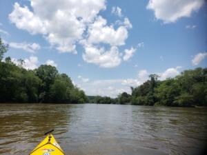 Kayaking on the French Broad River in Asheville