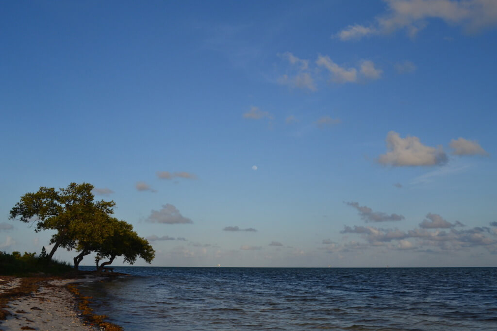 Moonrise from Curry Hammock State Park