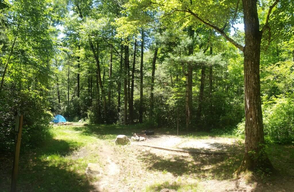 Wash Creek Dispersed Camping