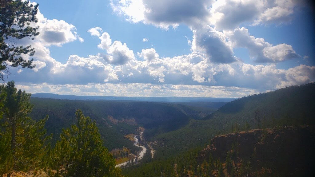 Gibbon River Valley in Yellowstone National Park