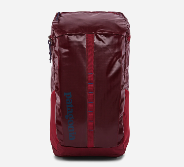best patagonia travel backpack