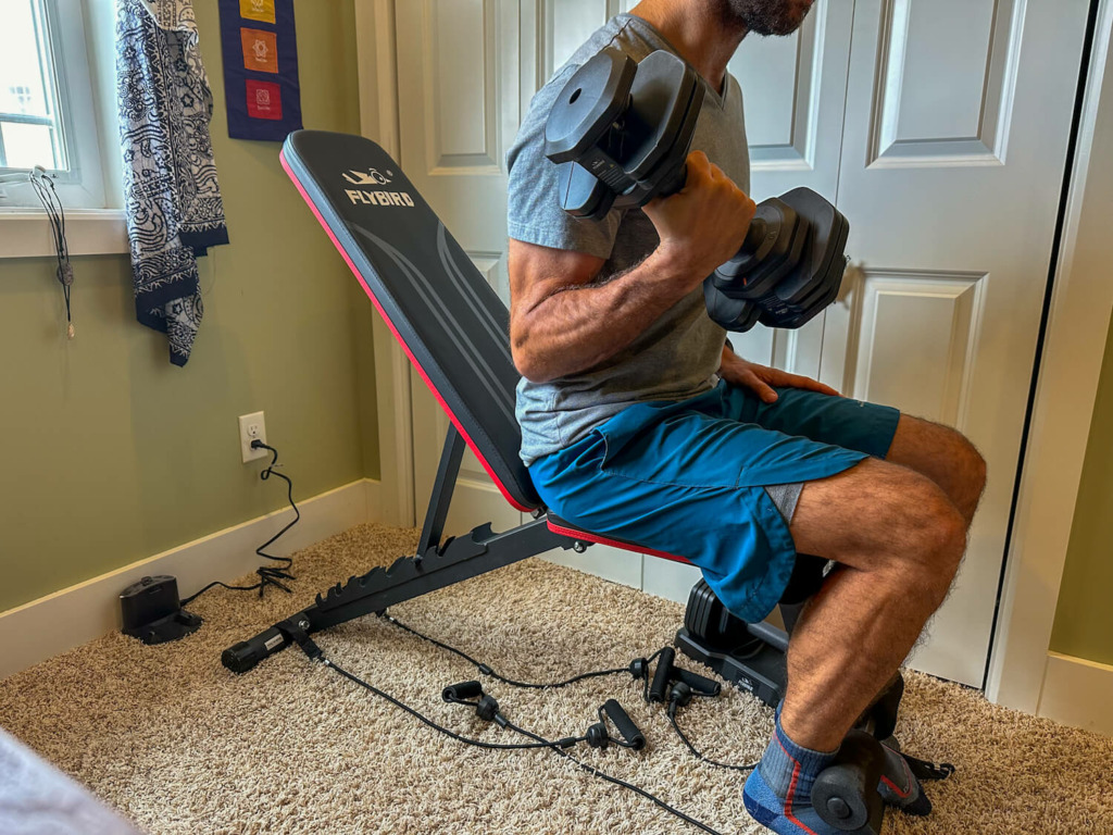 curls on flybird fitness weight bench