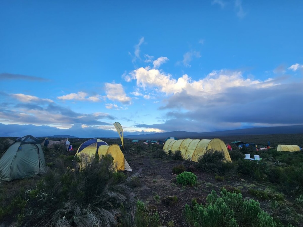 Tents set up at Shira 1 Camp