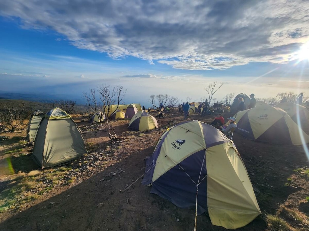Millennium Camp on Kilimanjaro trip